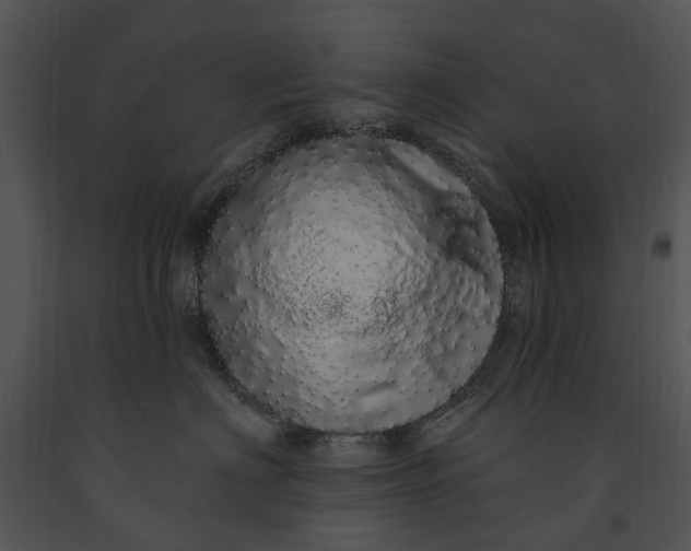 X0000091190622200708301238