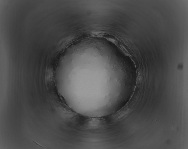 X0000091190623200708301238