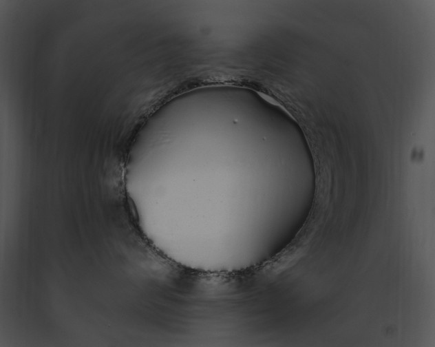 X0000091190624200708301238