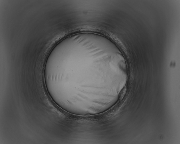 X0000091190625200708301238