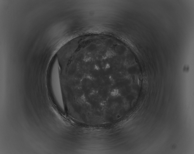 X0000091190626200708301238