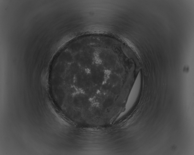 X0000091190627200708301238