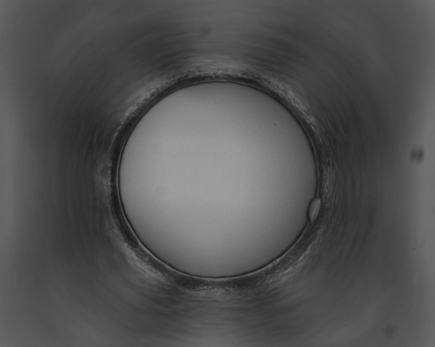 X0000091190629200708301238