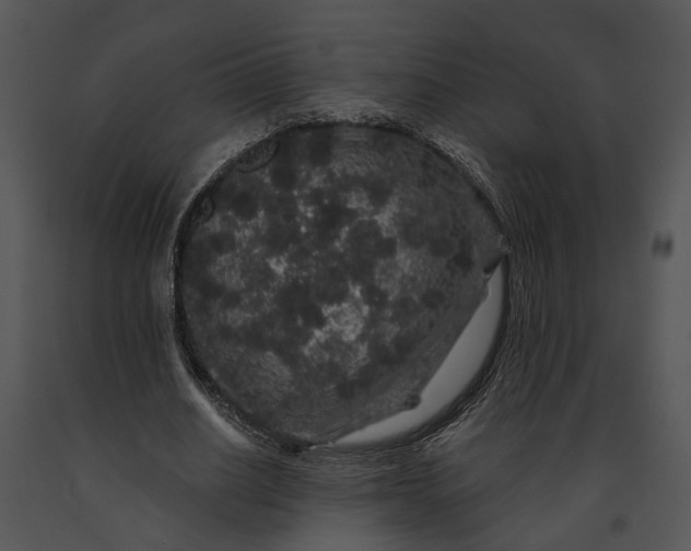 X0000091190630200708301238