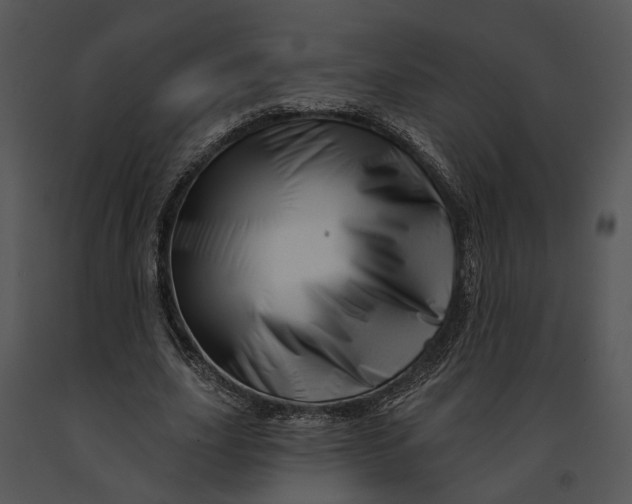 X0000091190631200708301238