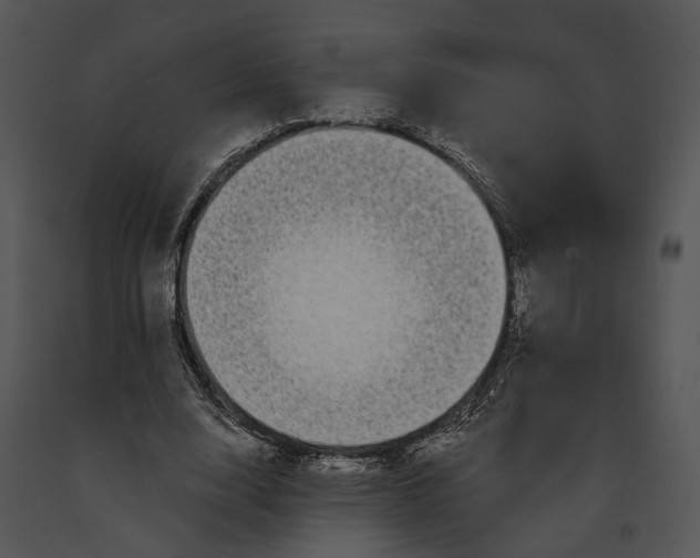 X0000091190632200708301238