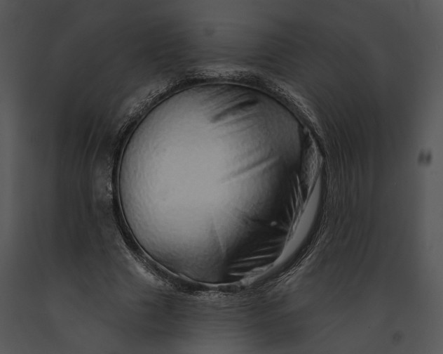 X0000091190633200708301238