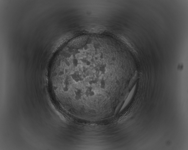 X0000091190634200708301238