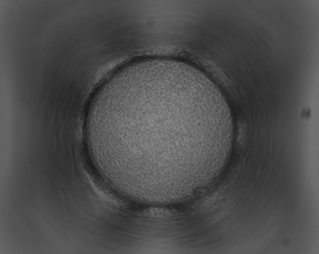 X0000091190636200708301238