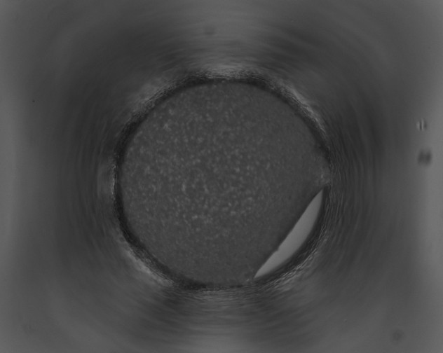 X0000091190637200708301238