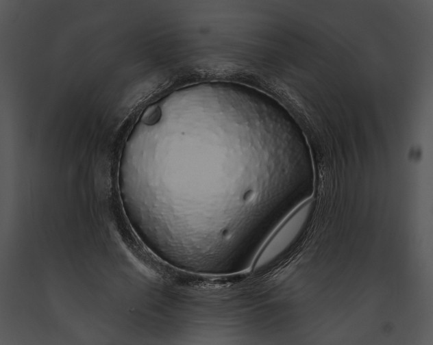 X0000091190638200708301238