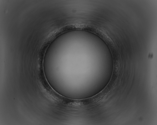 X0000091190639200708301238