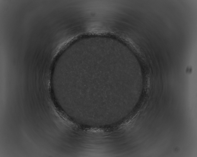 X0000091190640200708301238