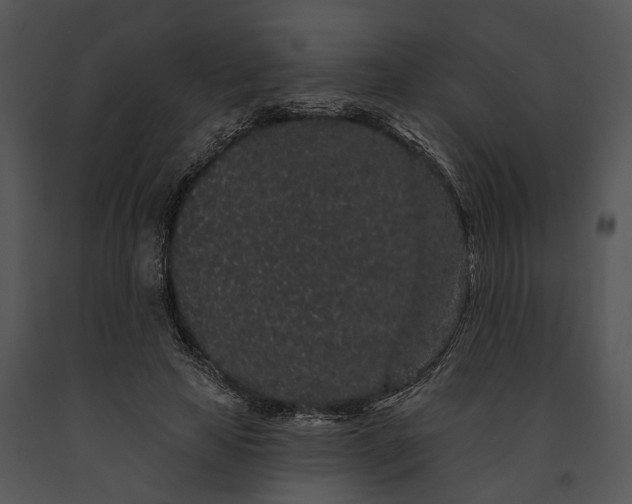 X0000091190641200708301238