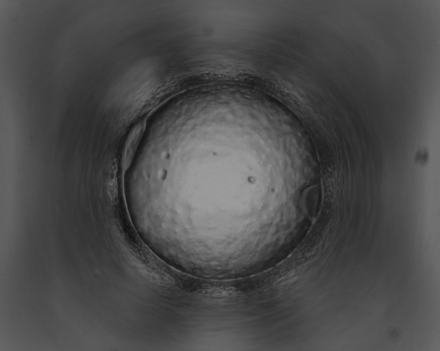 X0000091190642200708301238