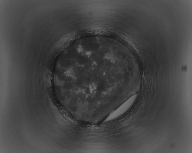 X0000091190643200708301238