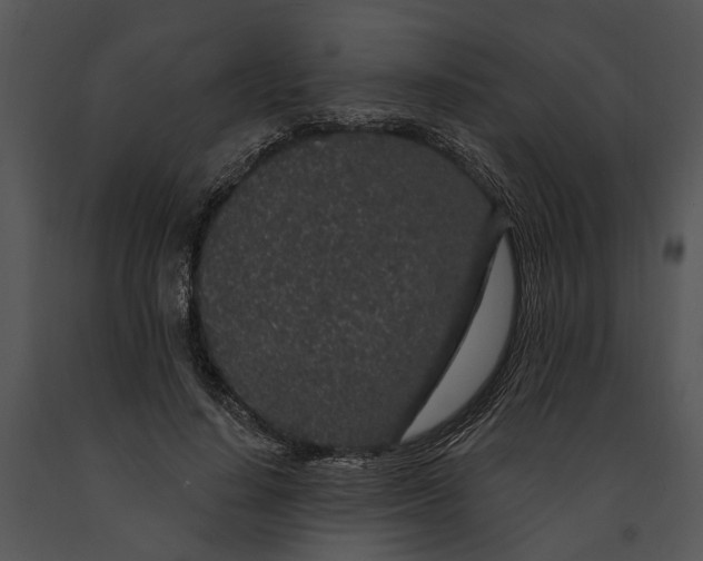 X0000091190644200708301238