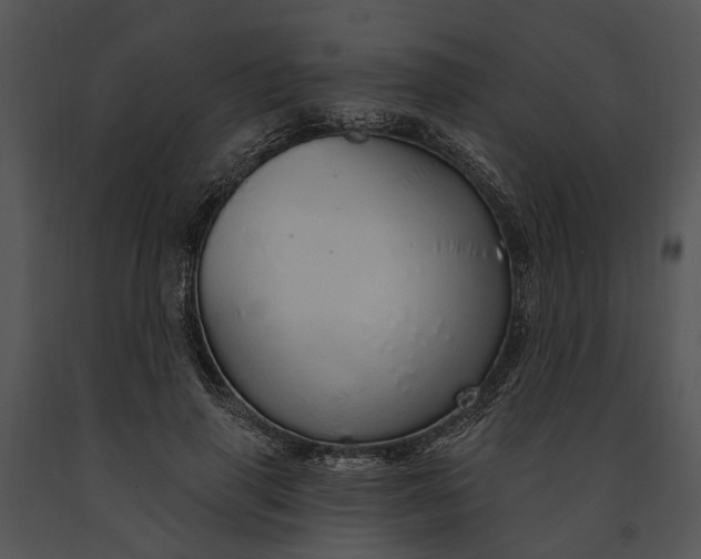 X0000091190645200708301238