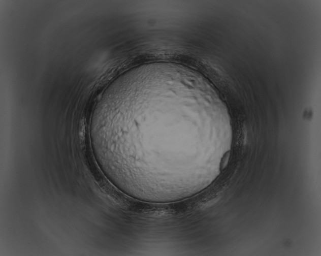 X0000091190646200708301238