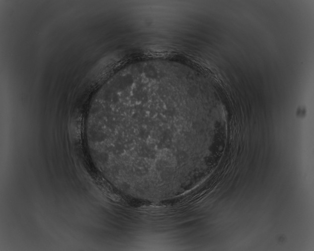 X0000091190647200708301238