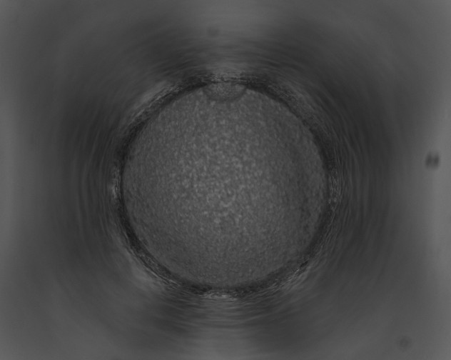 X0000091190648200708301238