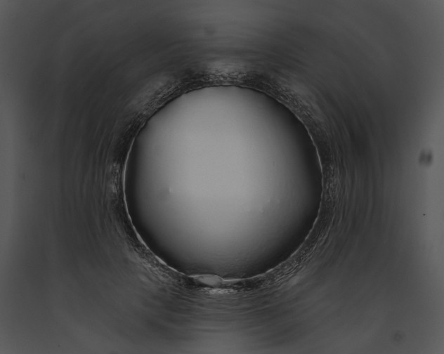 X0000091190649200708301238