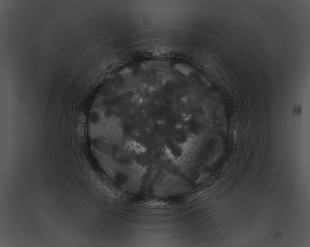 X0000091190650200708301238