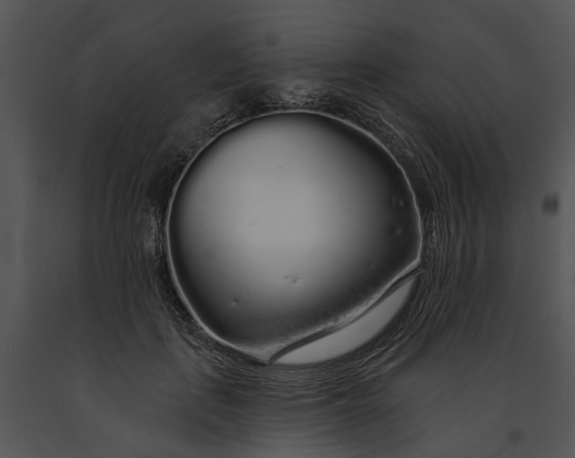 X0000091190651200708301238