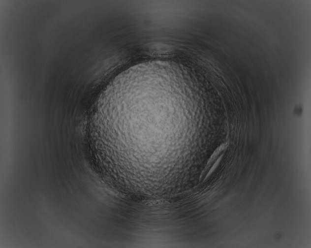 X0000091190652200708301238