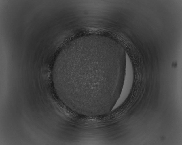 X0000091190653200708301238