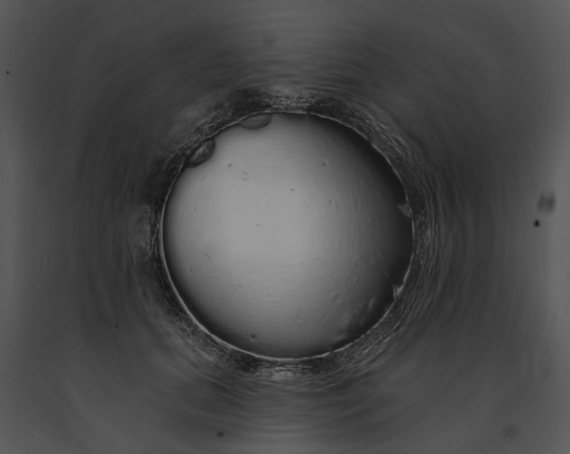 X0000091190655200708301238