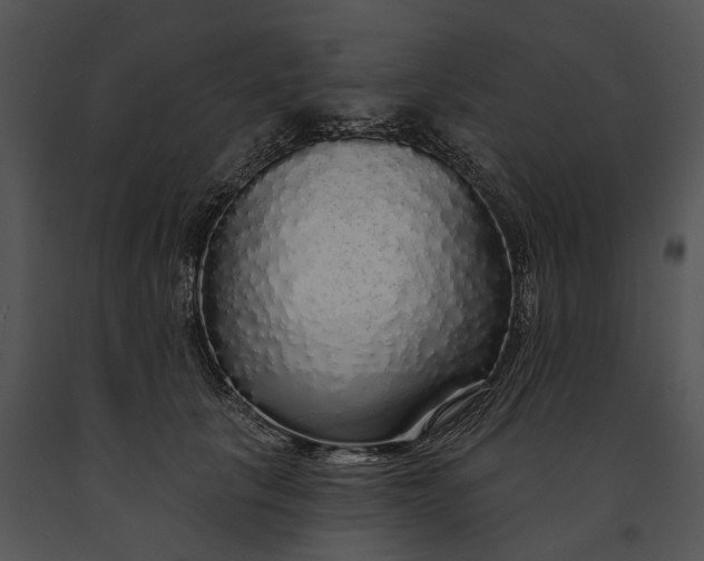 X0000091190657200708301238