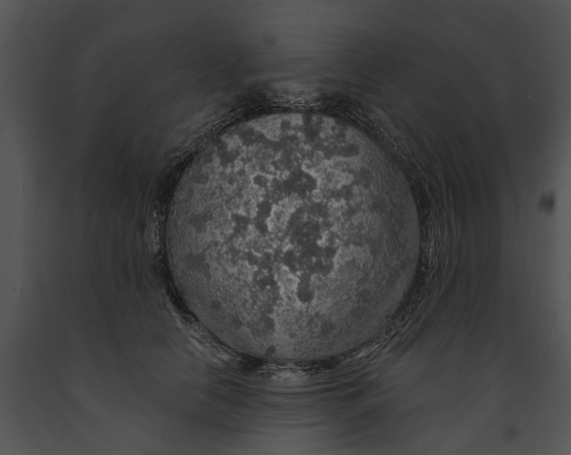 X0000091190658200708301238