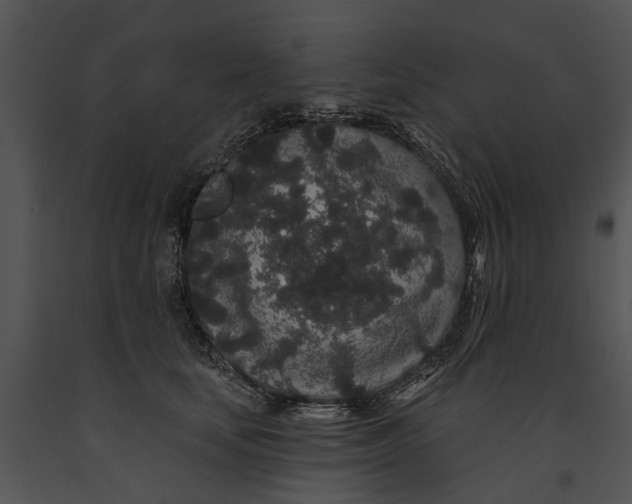 X0000091190659200708301238