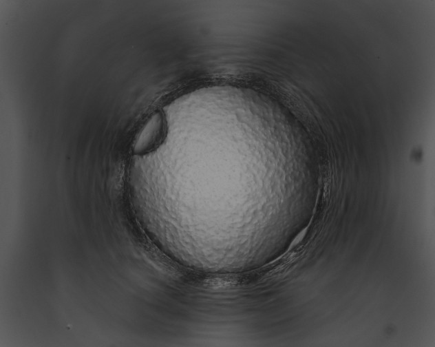 X0000091190660200708301238