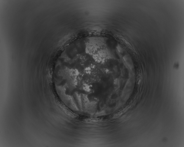 X0000091190661200708301238