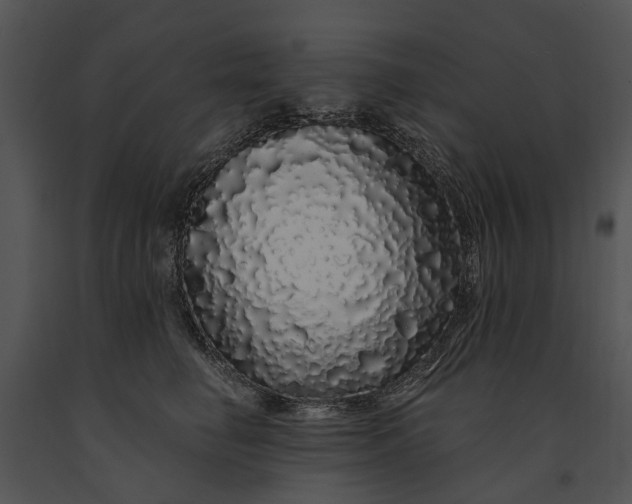 X0000091190662200708301238