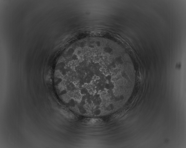 X0000091190663200708301238