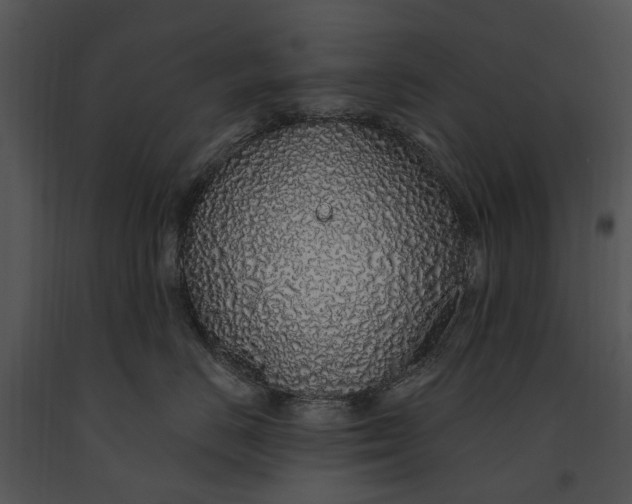 X0000091190670200708301238