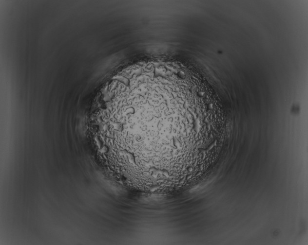 X0000091190671200708301238