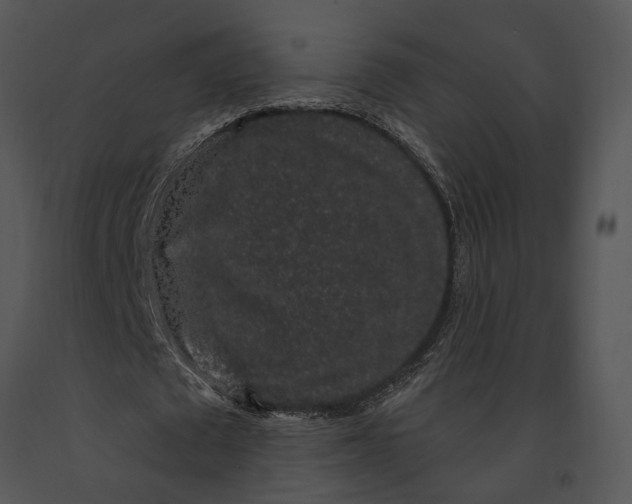 X0000091190673200708301238