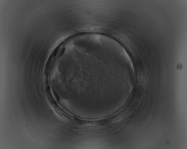 X0000091190674200708301238