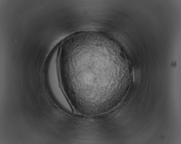 X0000091190675200708301238