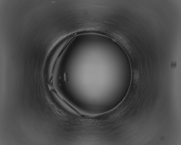 X0000091190676200708301238