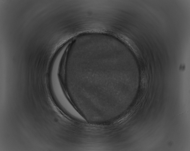 X0000091190677200708301238