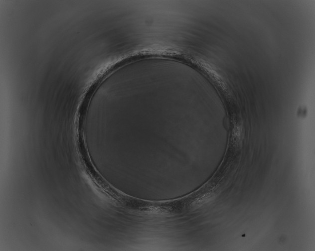 X0000091190678200708301238