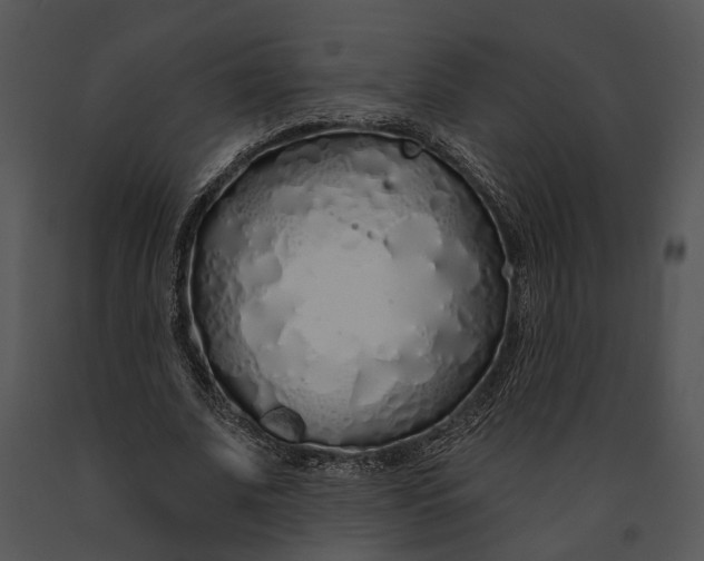 X0000091190679200708301238