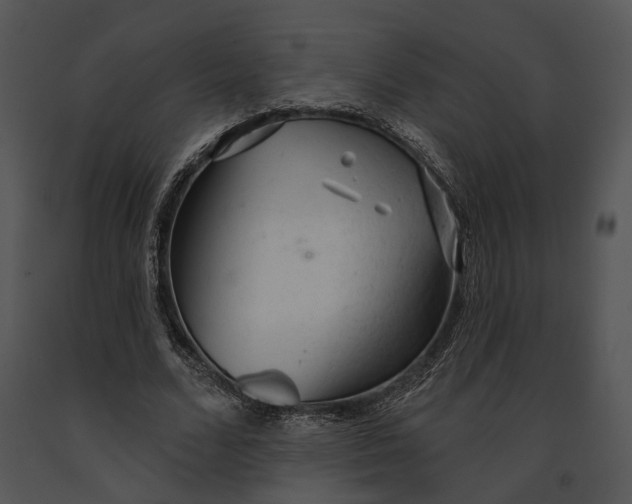 X0000091190680200708301238