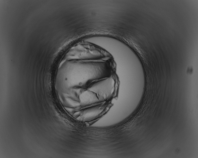 X0000091190684200708301238