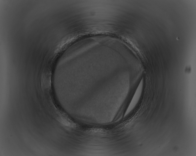 X0000091190685200708301238